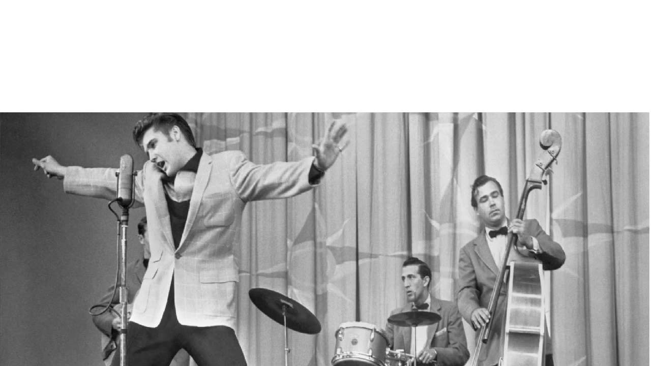 Elvis is a cutie pootieのバナー