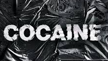 Cocain Piratesのバナー