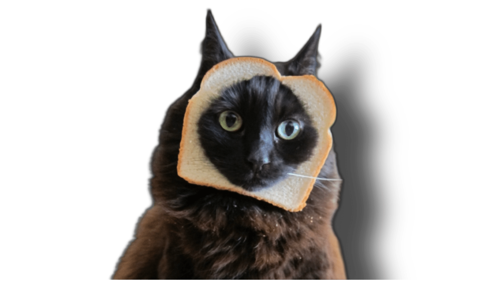 Mewmew