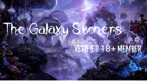 THE GALAXY STONERSSのバナー