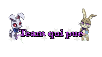 Team qui pueのバナー
