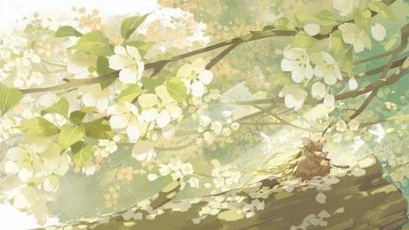 Asmrwulf's floofs