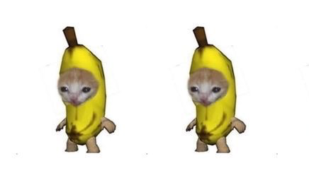 BANANACATSのバナー