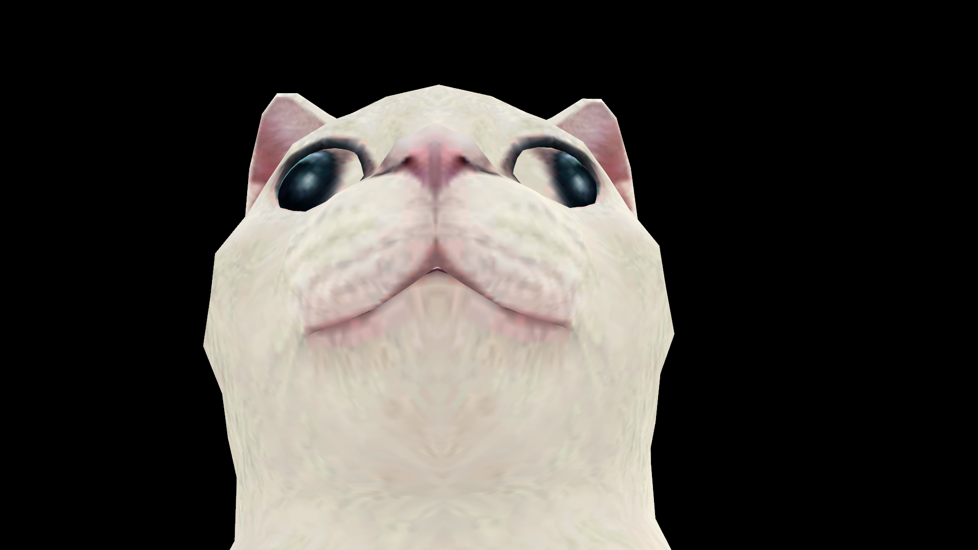 MeowCatのバナー