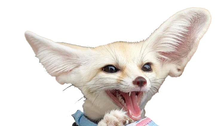 GOOBSのバナー