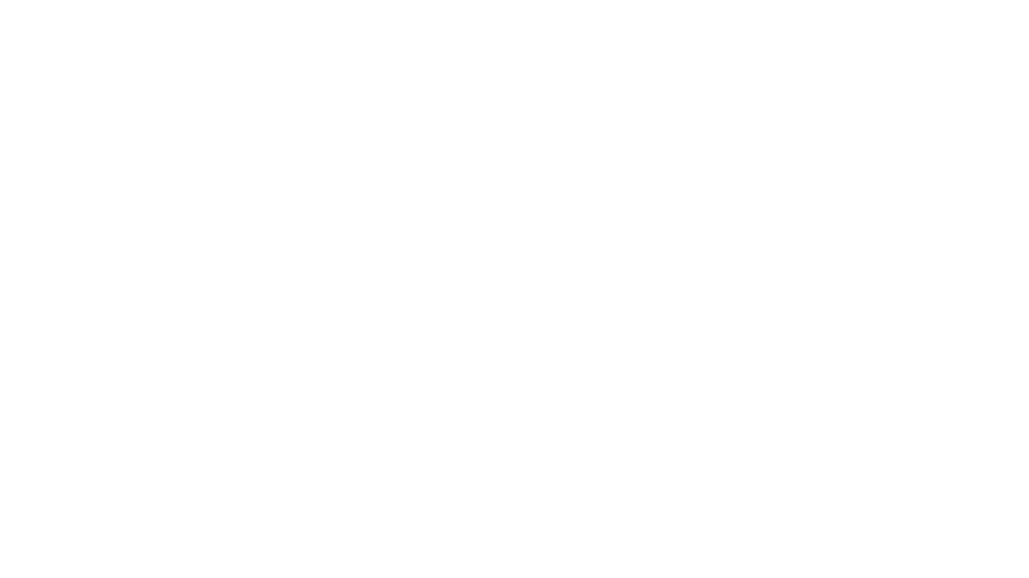 THE VOID