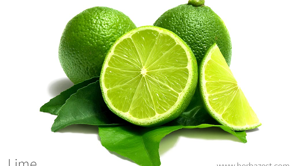 Lime Loungeのバナー