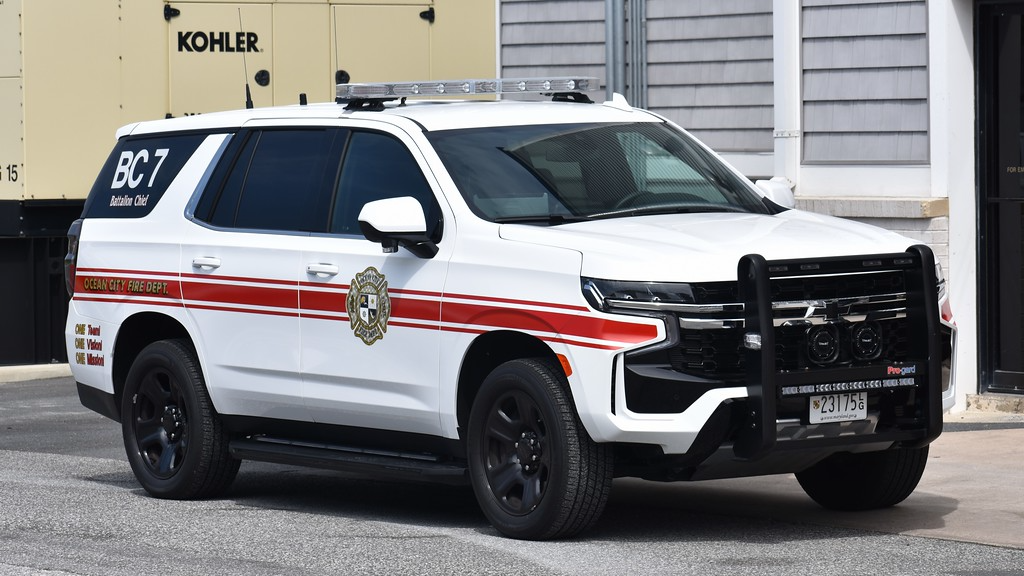 Georgia Fire Departmentのバナー