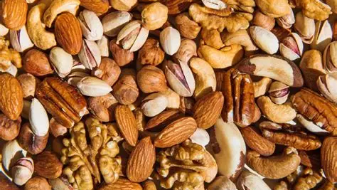 NUTS OF UTOPIA