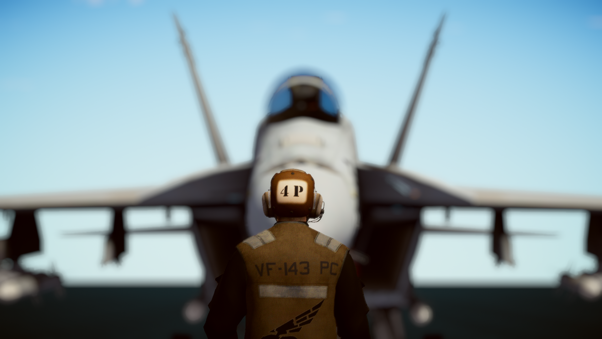 CVW-14 VFA-115 Eaglesのバナー