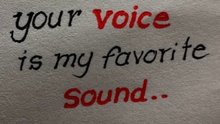 Best Sound is their Voiceのバナー
