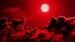 BloodMoon Gamesのバナー