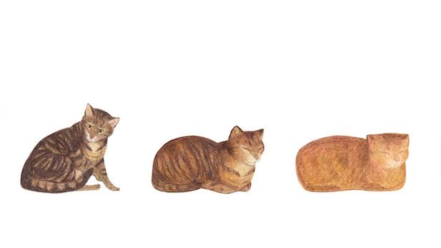 CAT LOVERS