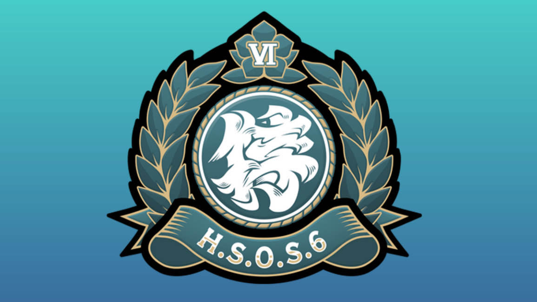 HSOS6