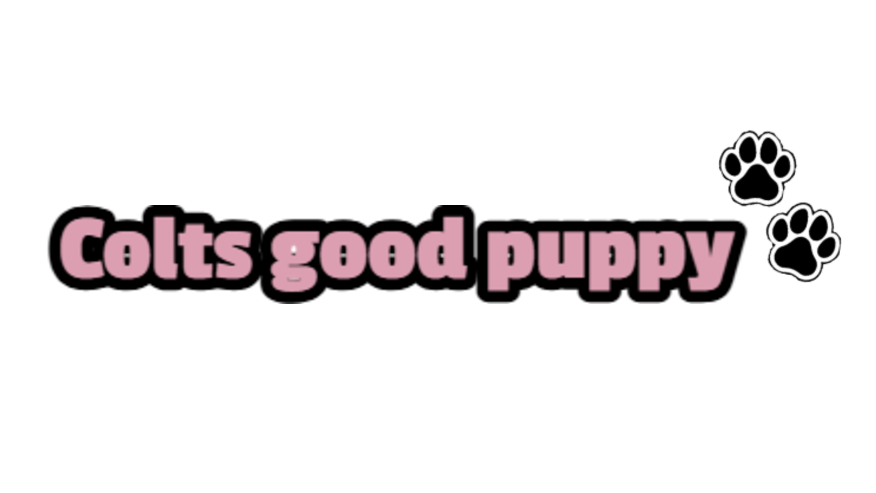 Colts good puppyのバナー