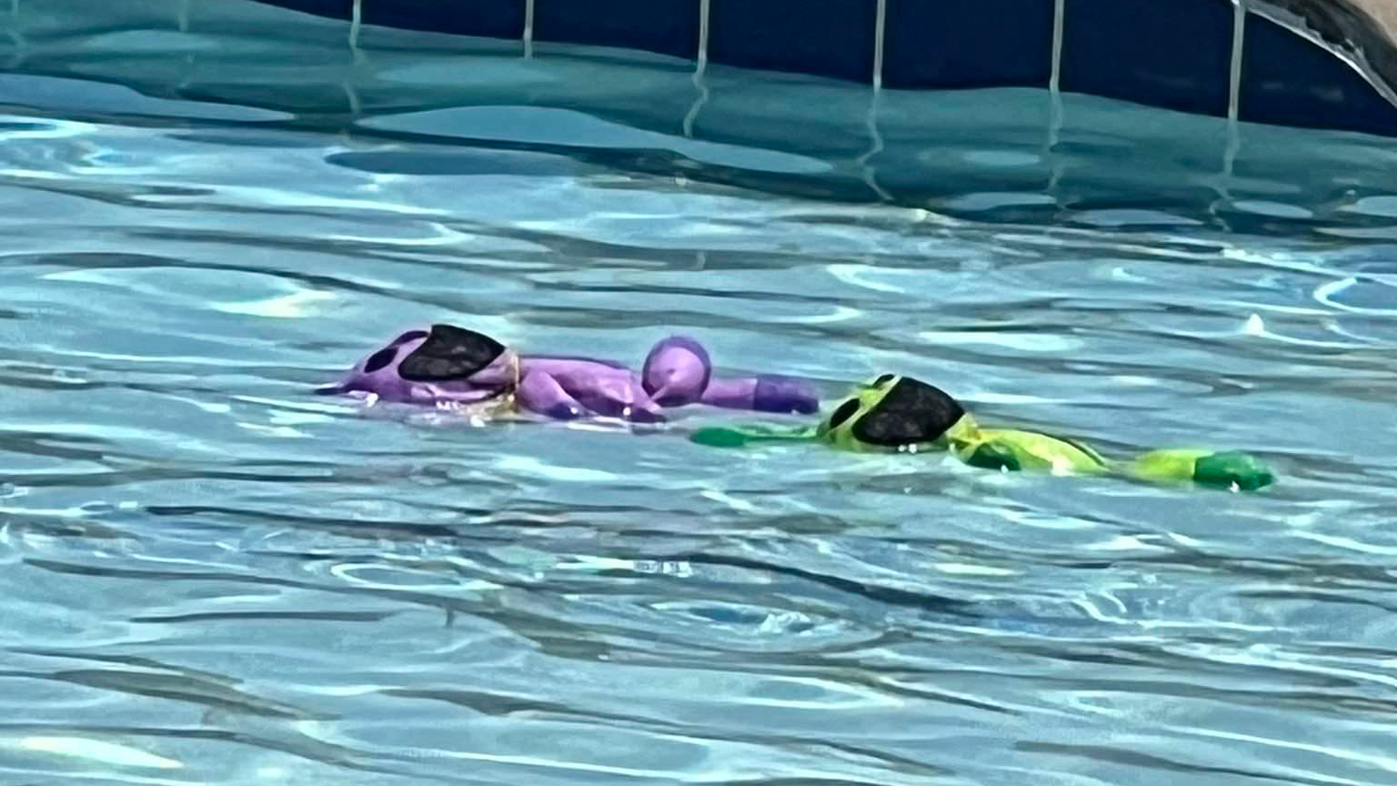 Drowning Crittersのバナー
