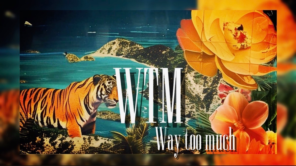 Waytoomuchのバナー