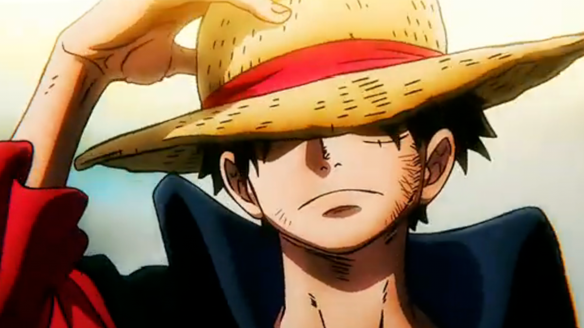 Luffy crew