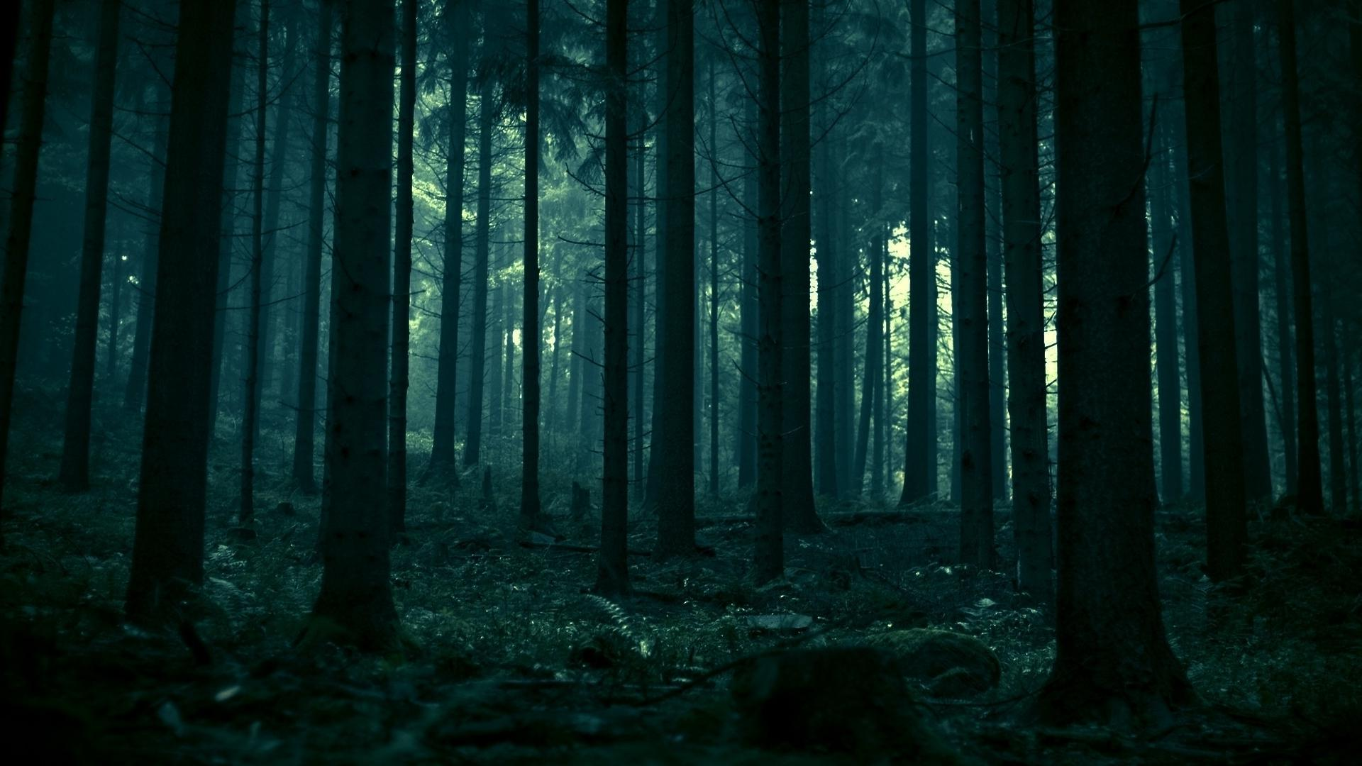 Ghost Wanderers