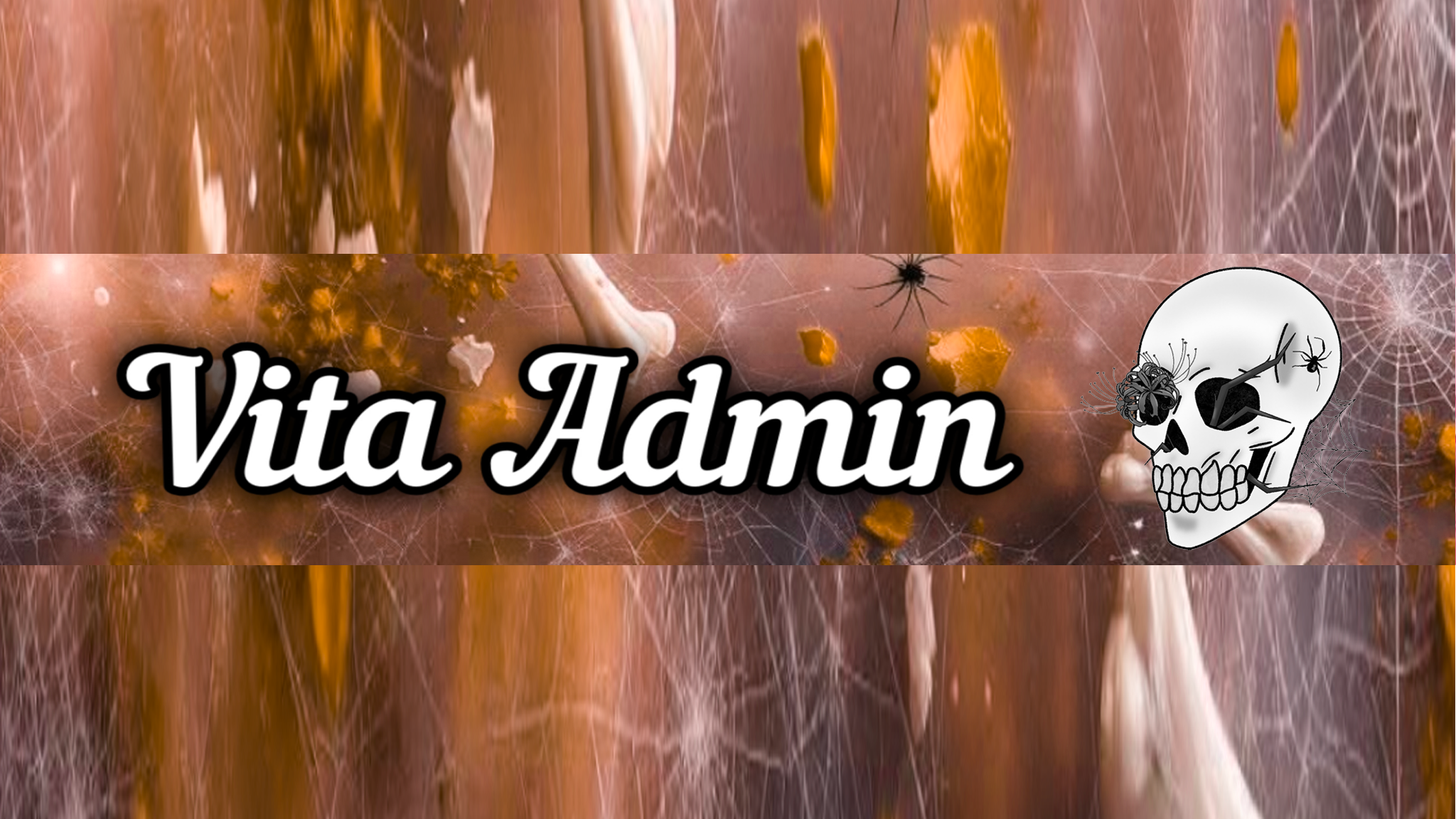 Vita Eventus Adminのバナー