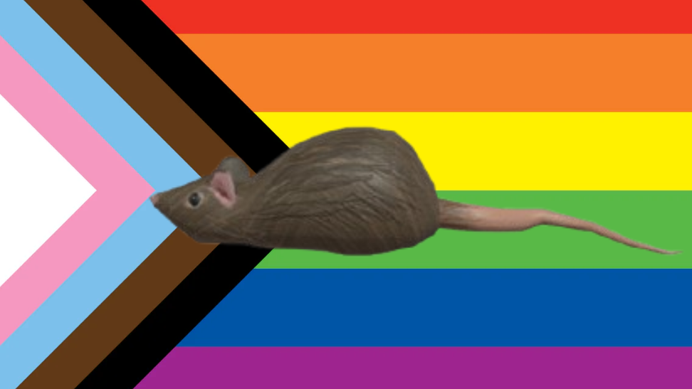 gay ratのバナー