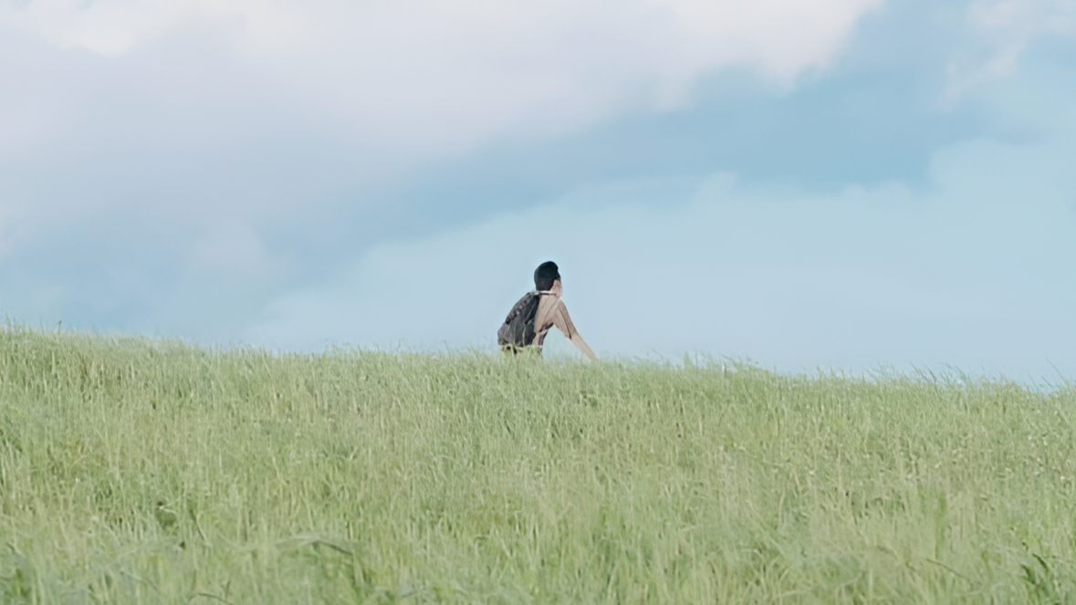 SUMMER CICADAのバナー