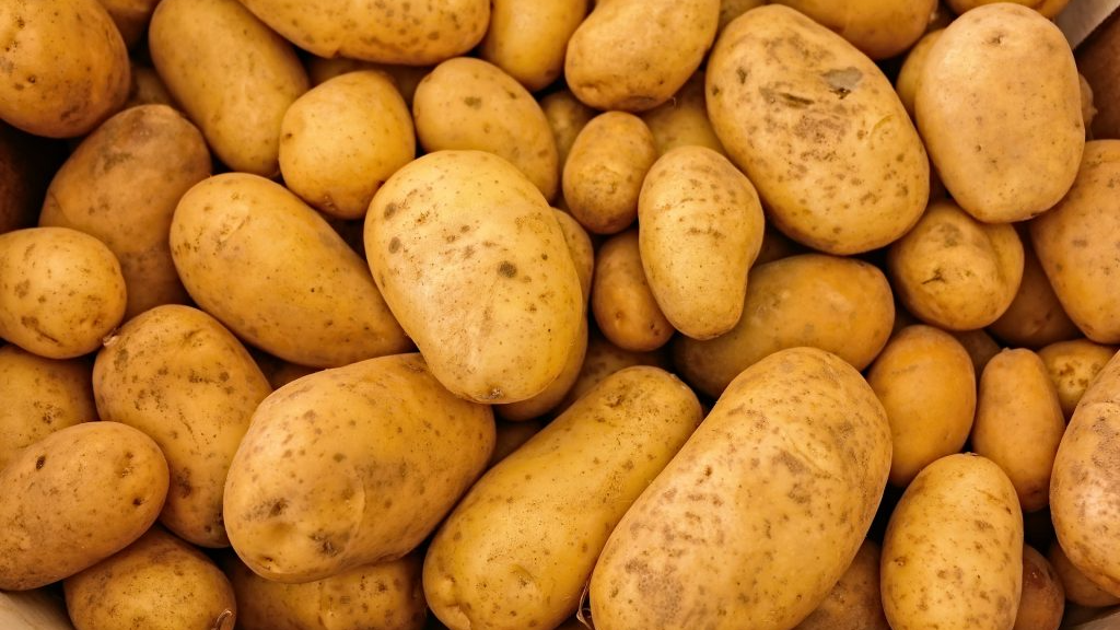 tatertot6899