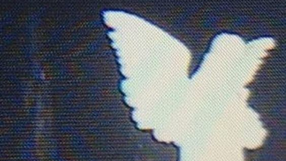 1700ANGELS