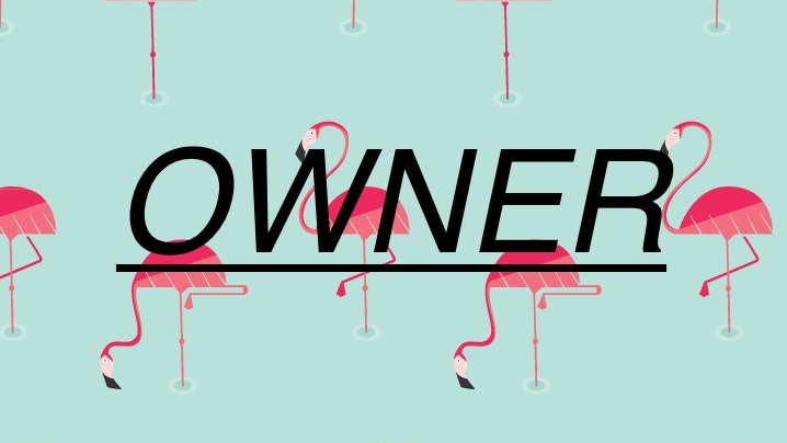 flamingo ownerのバナー