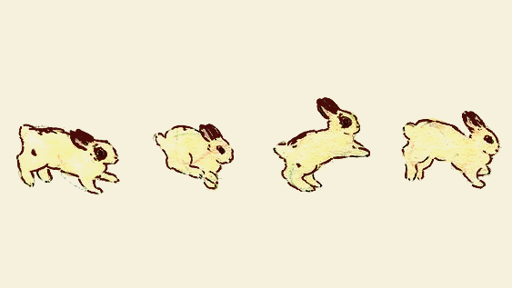 puddingのバナー