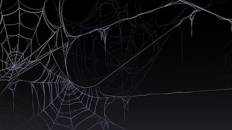 Spider-Familyのバナー