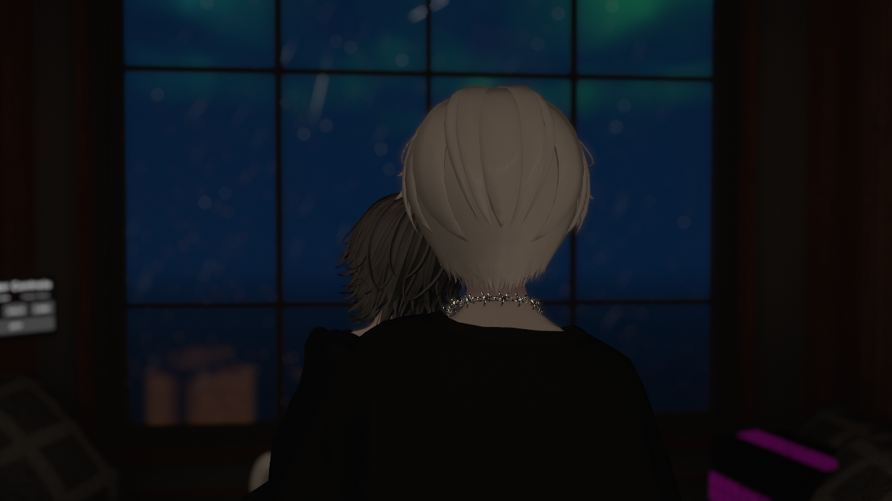 S and Nのバナー