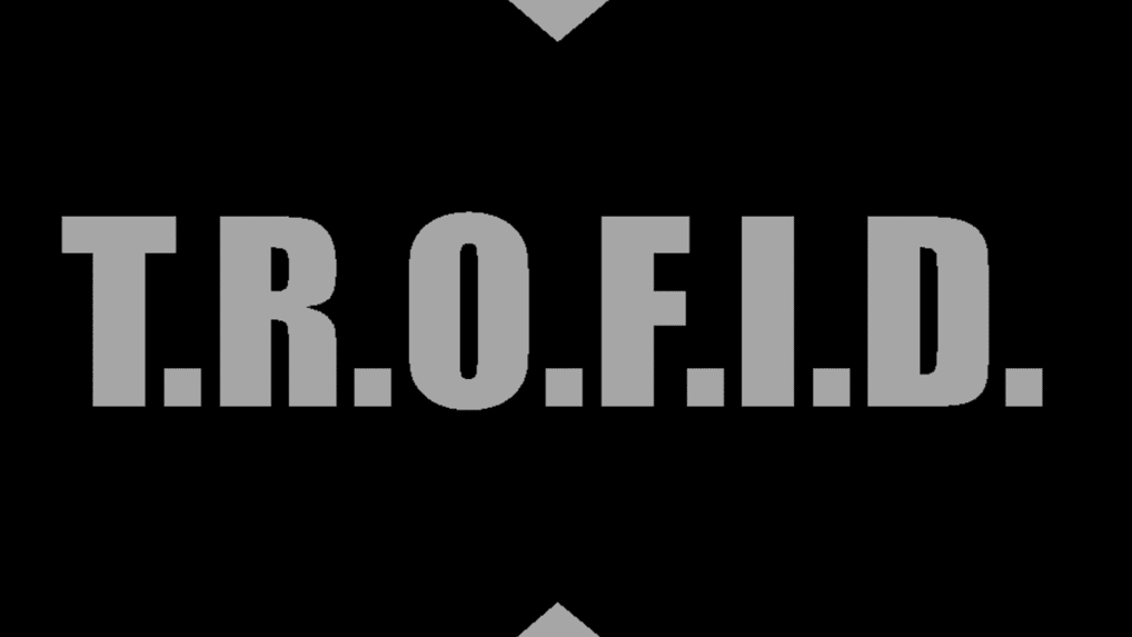 The Republic Of Furries In Denial Air Division