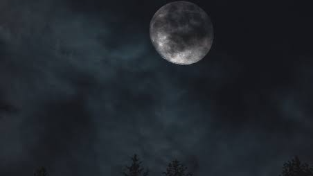 The Dark Lordsのバナー