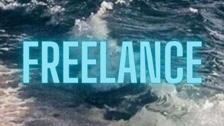 The Shark Tank Freelance