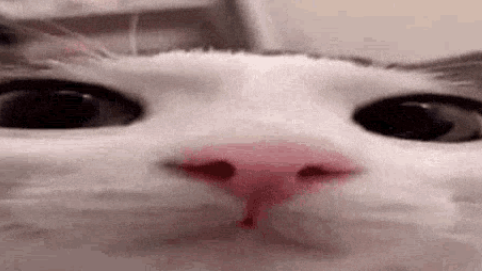uhhhhh