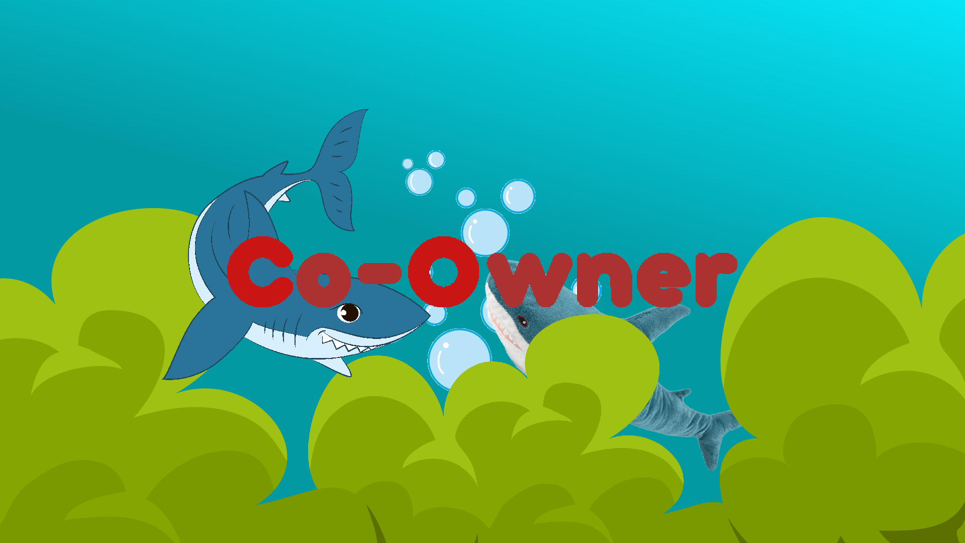 TFT CO-OWNER