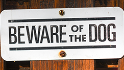 Beware of dogのバナー