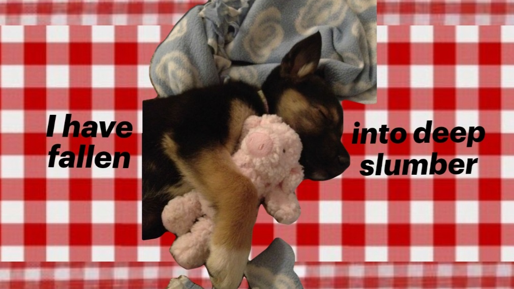 Im going to sleep nowのバナー