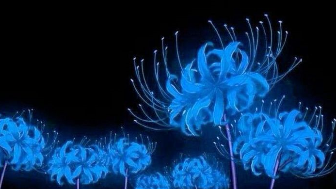 BlueAestheticのバナー