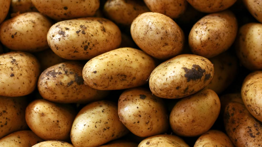 Potato Squad