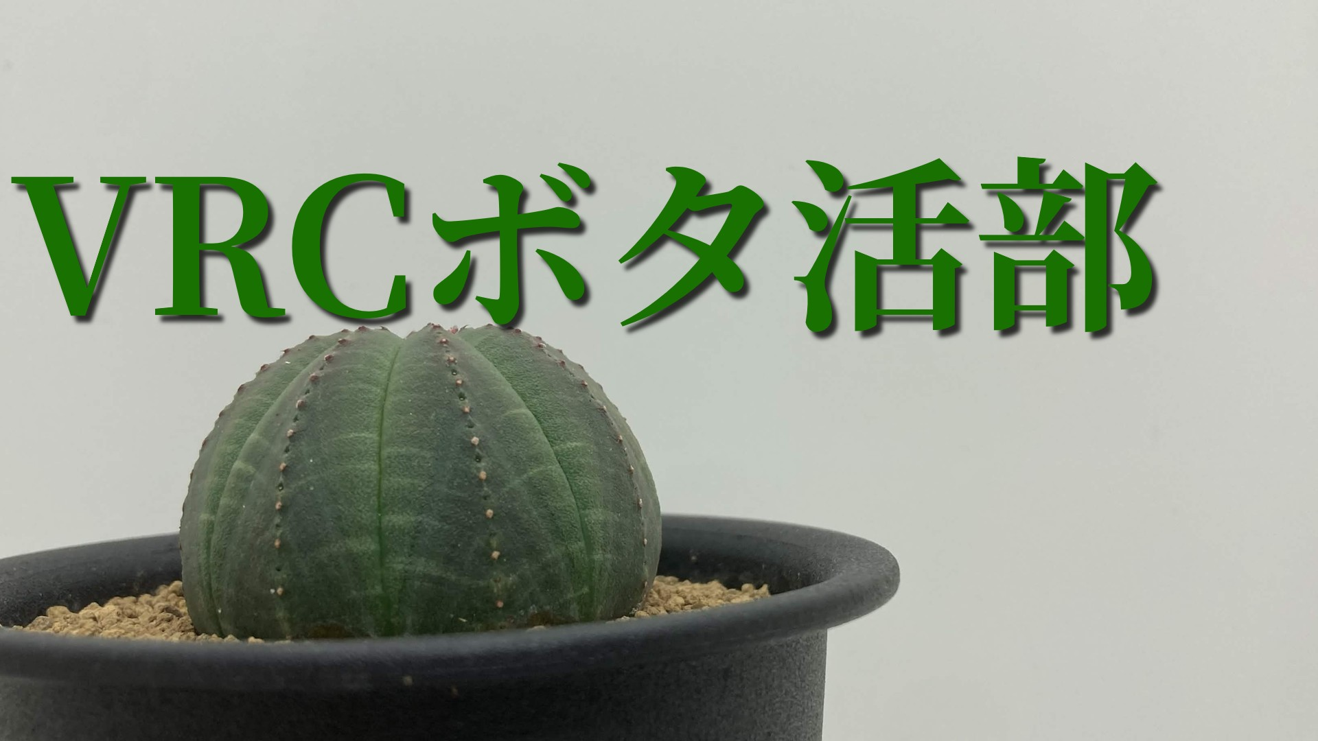 VRCボタ活部