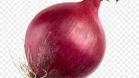 Onion worshippersのバナー