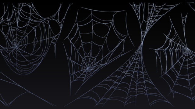 Spider-Gangのバナー