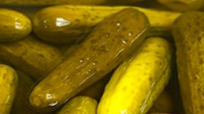 Cult of ?Pickle?