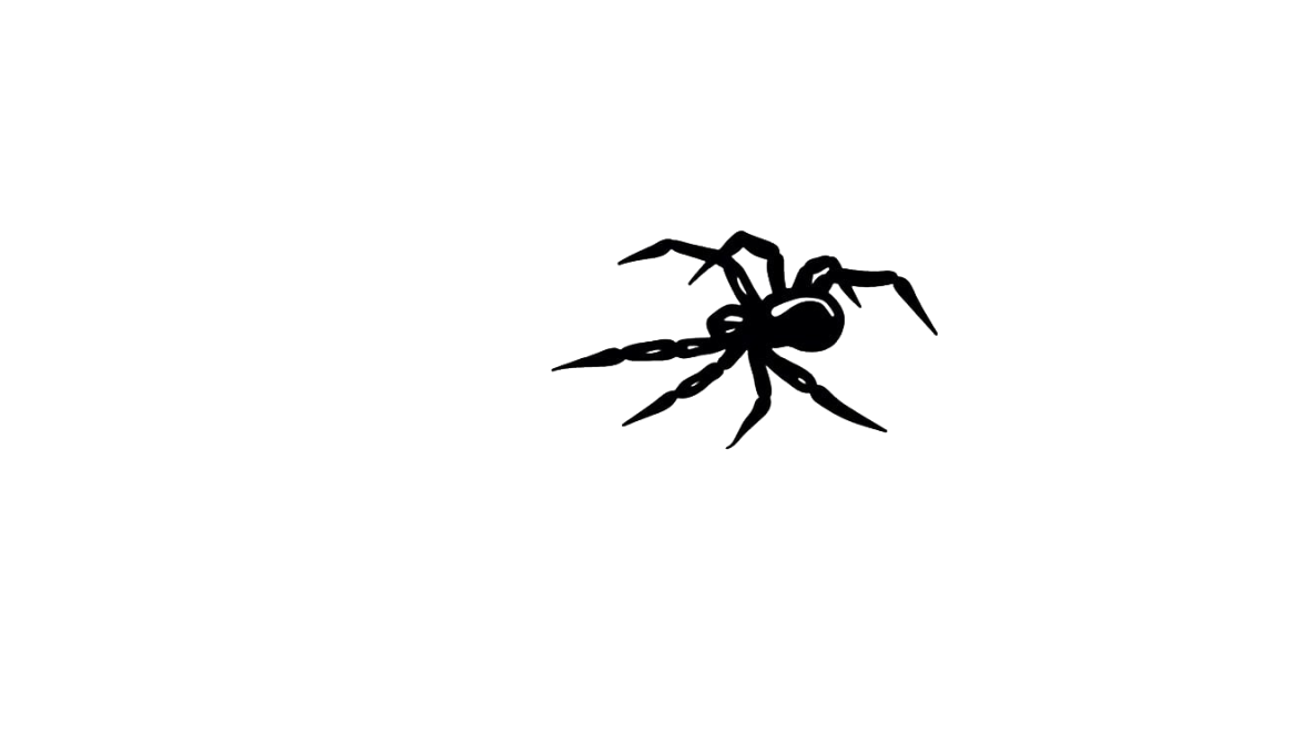 sco project
