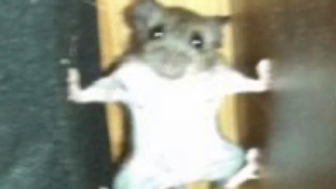 Rat Fanclubのバナー