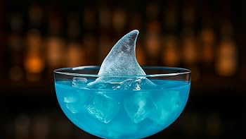 The IcedFin Sanctuaryのバナー