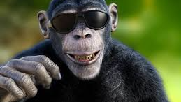 Monke Brothas