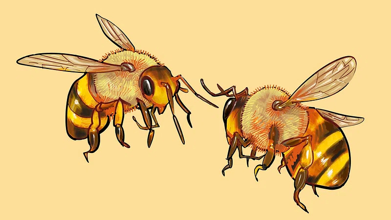 The Bee Hiveのバナー